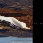 stella mccartney campaign 2016