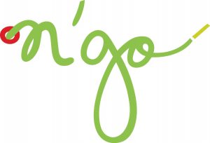 logo N'go Shoes